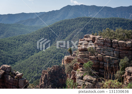 Rock formations, called organs, in Mediterranean forest. Benitandus 131330636