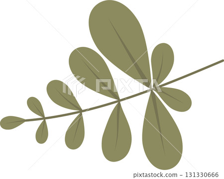 Stylized leaf with rounded leaflets, displayed diagonally against a plain black background. Stylized leaf with rounded leaflets, displayed diagonally against a plain black background. 131330666
