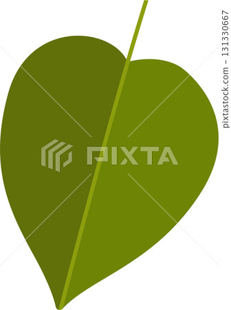 Illustration of a single, green leaf with a central vein, set against a plain black background. Illustration of a single, green leaf with a central vein, set against a plain black background. 131330667