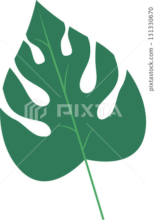 A vibrant green monstera leaf with distinctive splits, set against a stark black background. 131330670