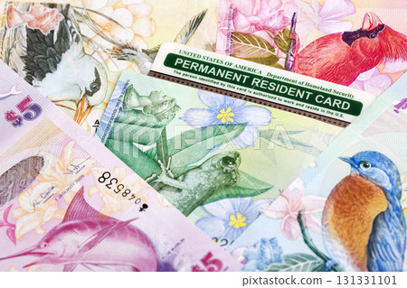 American Permanent Resident Card on a Bermudian money American Permanent Resident Card on a Bermudian money 131331101