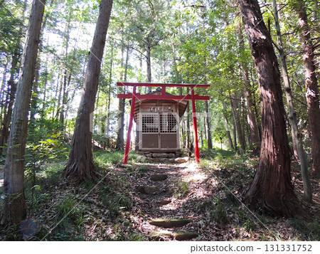 秩父市寺尾金刀比羅神社 131331752