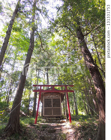 秩父市寺尾金刀比羅神社 秩父市寺尾金刀比羅神社 131331753