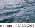 Sea surface 131333203