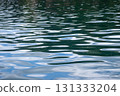 Sea surface 131333204