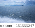 The surface of the Seto Inland Sea cruise 131333247