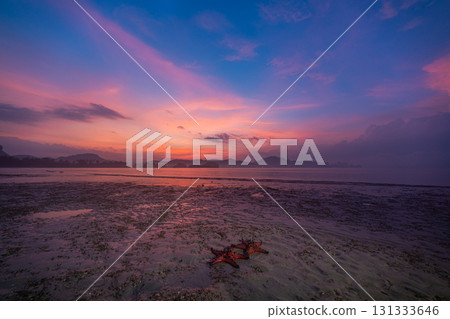 sweet sky in sunrise above the red starfish. 131333646