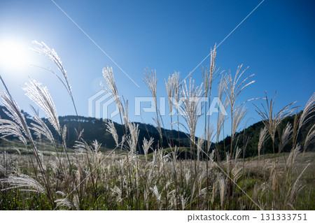 Beautiful scenery of Tonomine Plateau in Kamikawa Town, Kanzaki District, Hyogo Prefecture, Japan 131333751