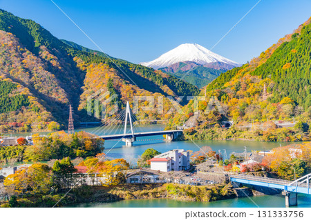 [Kanagawa Prefecture] Lake Tanzawa, autumn leaves on the lakeside, distant view of Mt. Fuji 131333756