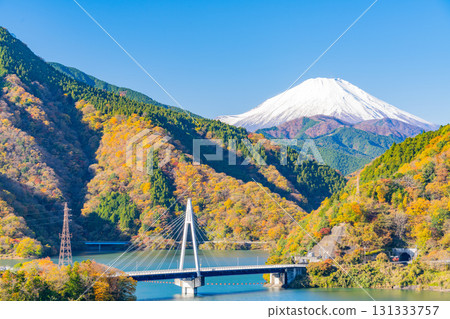 [Kanagawa Prefecture] Lake Tanzawa, autumn leaves on the lakeside, distant view of Mt. Fuji 131333757