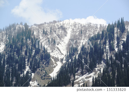 Sonamarg is the golden meadow of Kashmir, situated on the way to Leh, at an altitude of 2,740 meters above sea level. It is a land of natural beauty with pine forests, meadows and pristine. 131333820