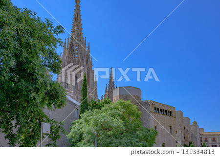 巴塞隆納，城市景觀，歷史，盛夏，西班牙 131334813