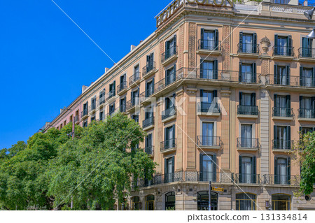 巴塞隆納,城市景觀,歷史,盛夏,西班牙 巴塞隆納,城市景觀,歷史,盛夏,西班牙 131334814
