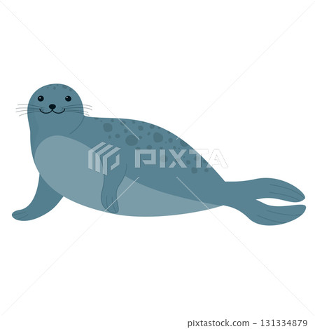 cute seal animal cute seal animal 131334879