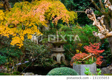 The garden of Shinzenkoji Temple, a sub-temple of Sennyuji Temple in Kyoto The garden of Shinzenkoji Temple, a sub-temple of Sennyuji Temple in Kyoto 131335053