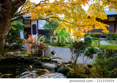 京都仙入寺的分寺-真善光寺的庭園 京都仙入寺的分寺-真善光寺的庭園 131335054