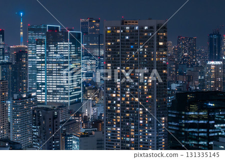 東京:東京市中心和港區的夜景 東京:東京市中心和港區的夜景 131335145