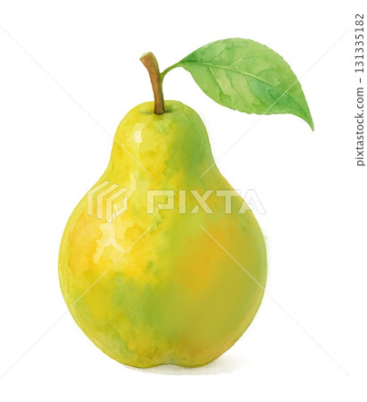 多汁的梨水彩插圖 131335182