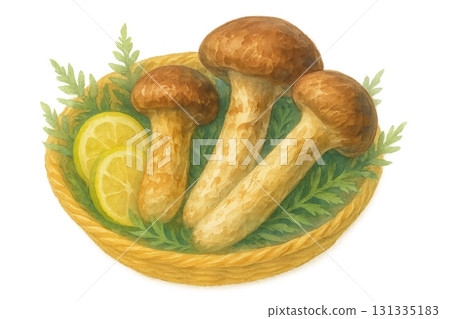 秋天的味道⭐︎ 多汁的松茸和酢橘的水彩插圖 131335183