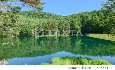 夏天的射擊池 夏天的射擊池 131335192