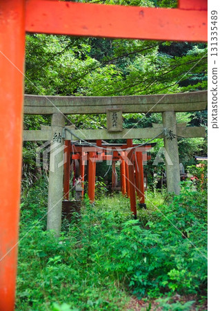 神戶市長田區高取山的風景 131335489