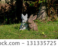 A Pair of Old Rabbit Statues Situated in a Country Park 131335725