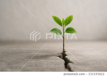 A vibrant green plant emerging from a crack in concrete, symbolizing strength, resilience, and 131335822
