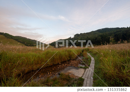 Beautiful natural scenery of Tonomine Plateau in Hyogo Prefecture, Japan 131335862