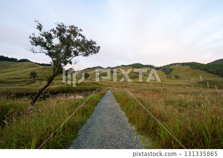 日本兵庫縣砥峰高原美麗的自然風光 131335865