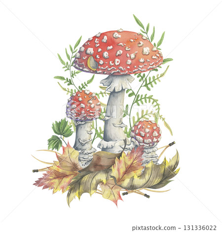 Toadstools with autumn foliage, fern and needles. Hand-painted illustration of mushrooms. Watercolor composition with picturesque amanitas. Perfect for seasonal decor Toadstools with autumn foliage, fern and needles. Hand-painted illustration of mushrooms. Watercolor composition with picturesque amanitas. Perfect for seasonal decor 131336022