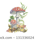 Watercolor toadstools with autumn leaves and forest fern. Hand-painted composition. Watercolor illustration of amanita mushrooms among dry foliage and pine needles. Perfect for seasonal decor 131336024