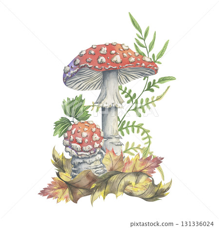 Watercolor toadstools with autumn leaves and forest fern. Hand-painted composition. Watercolor illustration of amanita mushrooms among dry foliage and pine needles. Perfect for seasonal decor Watercolor toadstools with autumn leaves and forest fern. Hand-painted composition. Watercolor illustration of amanita mushrooms among dry foliage and pine needles. Perfect for seasonal decor 131336024