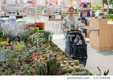 A woman shops at a grocery store with her Jack Russell terrier dog in a stroller. 131336096
