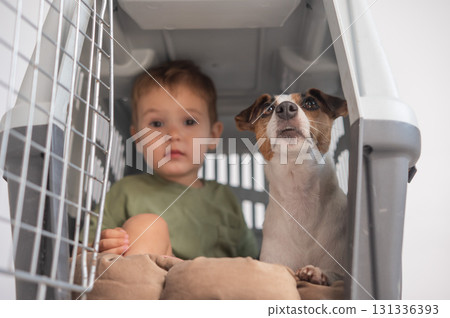 Little child in a cage with a Jack Russell Terrier dog.  131336393