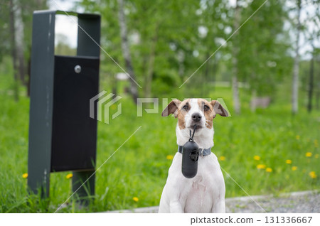 Adorable Dog with Waste Bag Ready for a Walk. Adorable Dog with Waste Bag Ready for a Walk. 131336667