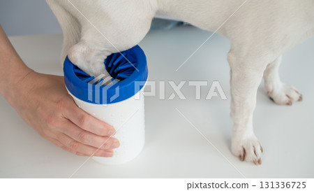 The owner washes the dog's paws in a special device.  131336725