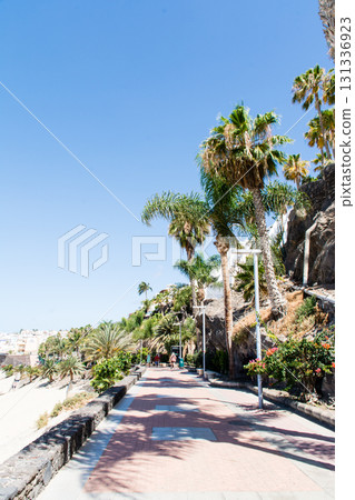 A palm-lined walkway along the coastline under a clear blue sky and bright sunshine on Fuerteventura, Canary Islands 131336923