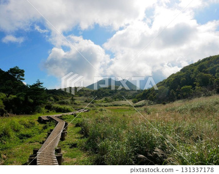 Boardwalk at Amagaike Pond (Kokonoe, Oita Prefecture) 131337178