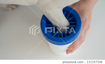 The owner washes the dog's paws in a special device.  131337390