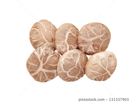 First harvest, raw shiitake mushrooms (shiitake mushrooms) [white background, cutout] 131337903