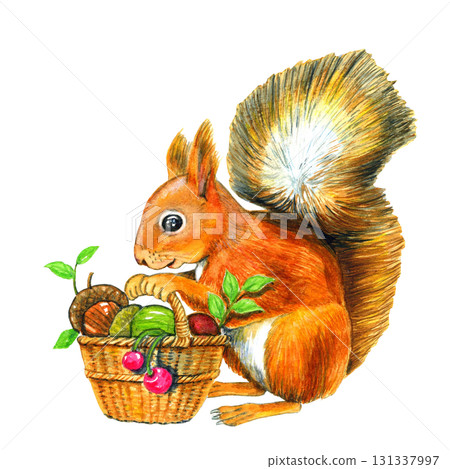 一隻松鼠採集秋天的堅果[手繪水彩] 131337997