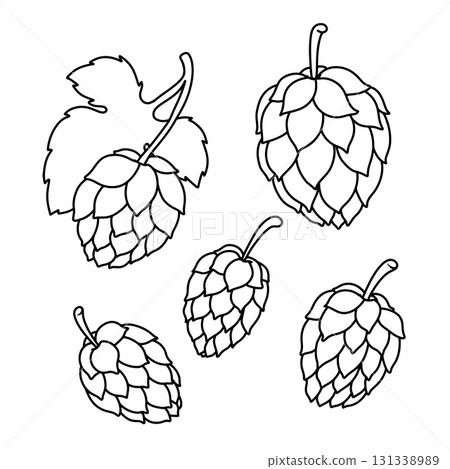 illustration of beer hop in engraving style. Design element for poster, label, sign, emblem, menu. Vector illustration 131338989