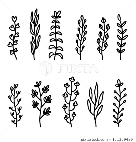Set of hand drawn floral branches. Design element for decoration. Vector illustration 131339489