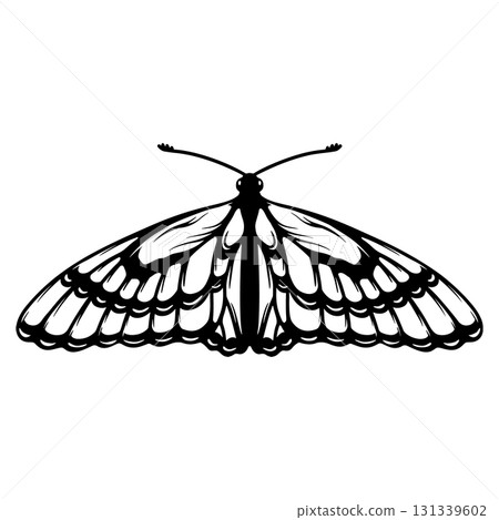 Butterfly illustration isolated on white background. Design element for poster, card, banner, t shirt. Vector illustration Butterfly illustration isolated on white background. Design element for poster, card, banner, t shirt. Vector illustration 131339602