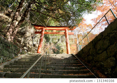 愛知縣新城市，蓬萊山東照宮附近，2024年12月3日 131340108