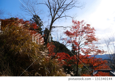 Autumn leaves at Horaiji Temple, Shinshiro City, Aichi Prefecture, December 2024 Autumn leaves at Horaiji Temple, Shinshiro City, Aichi Prefecture, December 2024 131340144