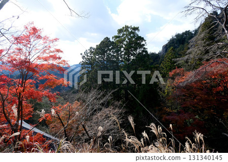 Autumn leaves at Horaiji Temple, Shinshiro City, Aichi Prefecture, December 2024 Autumn leaves at Horaiji Temple, Shinshiro City, Aichi Prefecture, December 2024 131340145