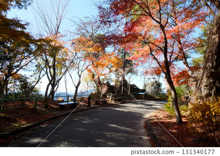 愛知縣新城市 鳳來寺參道的紅葉 2024年12月9日 131340177