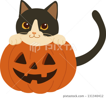 cute halloween cat inside pumpkin jack o lantern for seasonal holiday artwork cute halloween cat inside pumpkin jack o lantern for seasonal holiday artwork 131340412