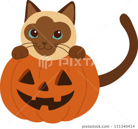 halloween siamese cat with pumpkin jack o lantern cartoon illustration for october holiday design and seasonal decoration 131340414